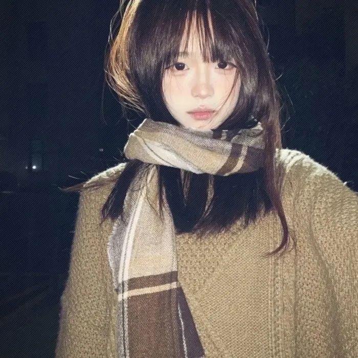 南北有情天在线观看